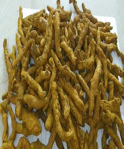 TURMERIC